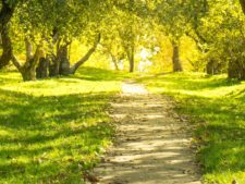 Compliance - pension and ERA services insolvency UK - Clumber Consultancy